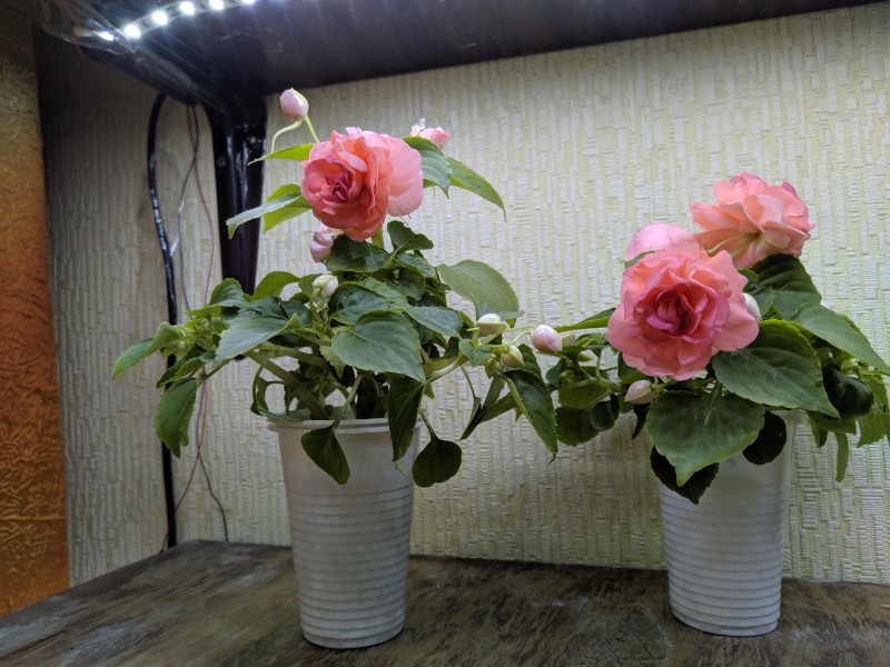 2019-07-12 16-06-53.JPG