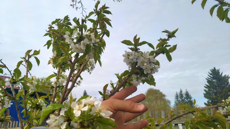IMG20250503164309.jpg