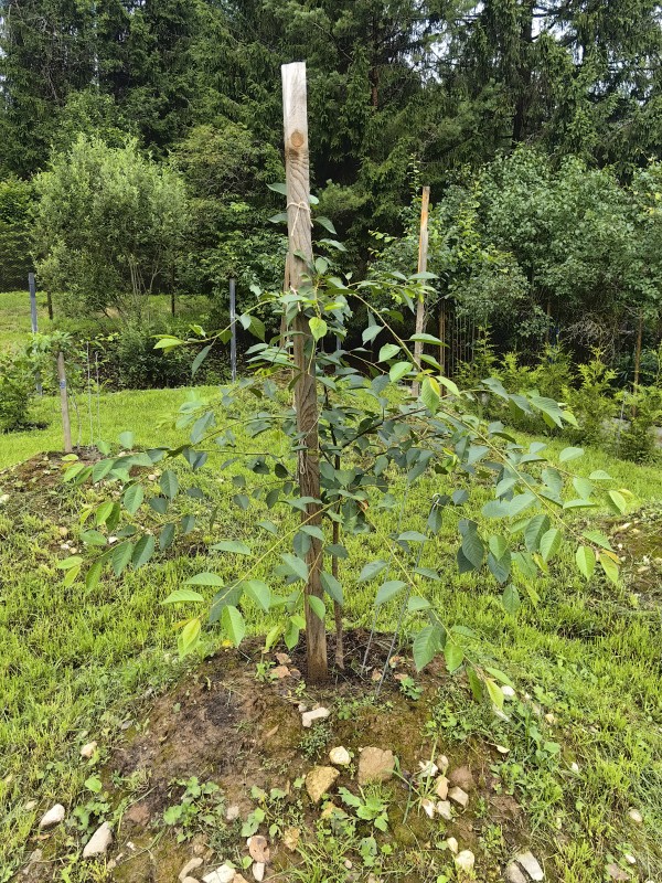 IMG_20250720_120433.jpg