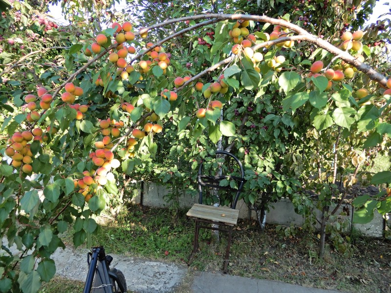 DSCN1729.jpg