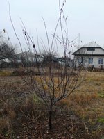 P1050894.JPG