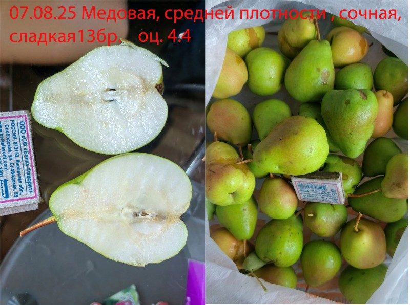 Без имени-1.jpg