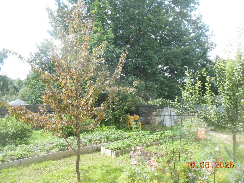 DSCN1636.JPG