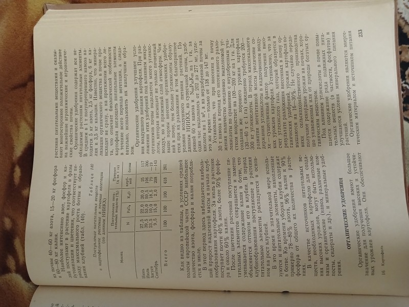20250816_212545.jpg