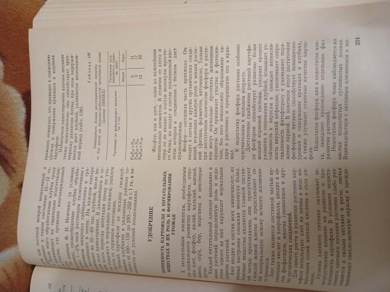 20250816_212530.jpg