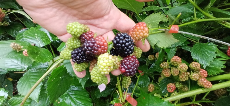 20250821_100353.jpg