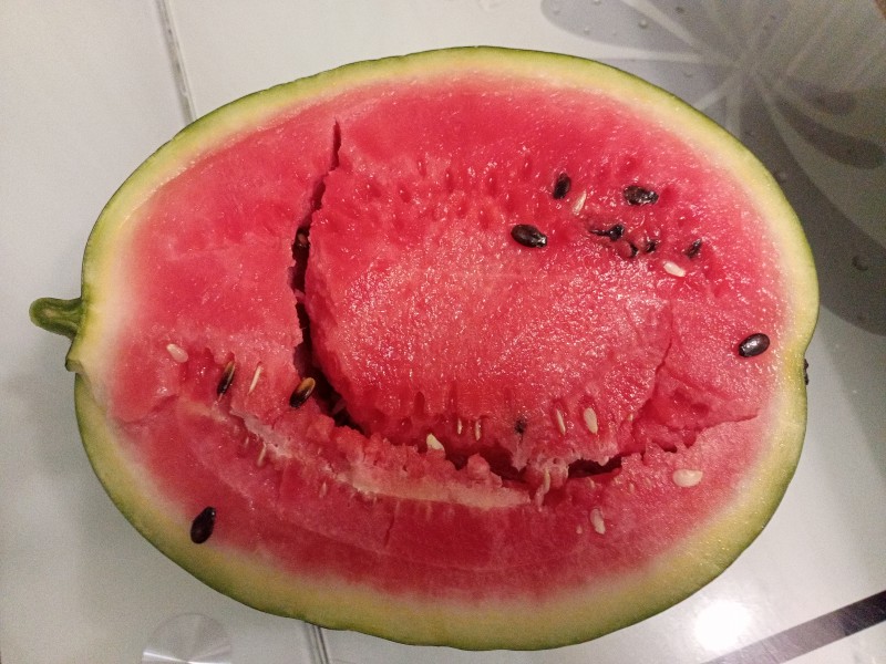 IMG20250822201051.jpg