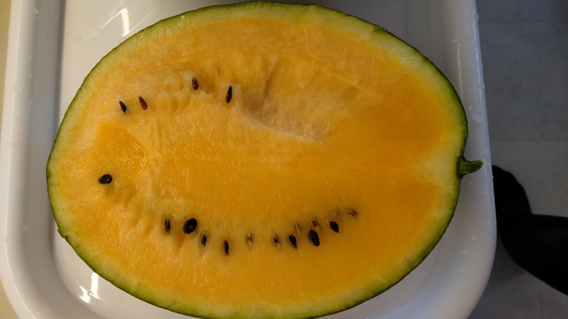 IMG20250806192934.jpg