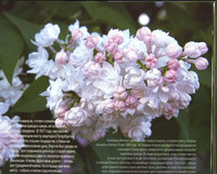 Scan-141212-0002.jpg