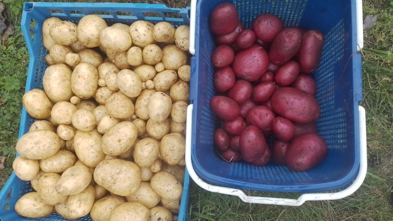 IMG-20250904-WA0018.jpeg