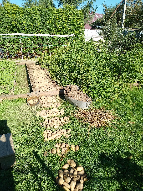 20250909_093001.jpg