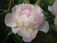 DSC01237.JPG