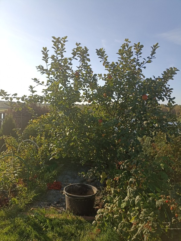 IMG_20250919_201817.jpg