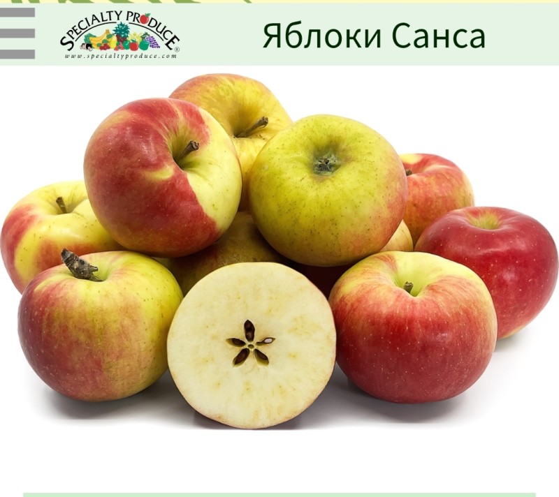 Screenshot_20250927-181755_Chrome.jpg