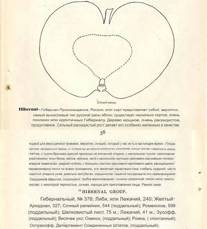 Hibernal— Гибернал-Спящий режим.jpg