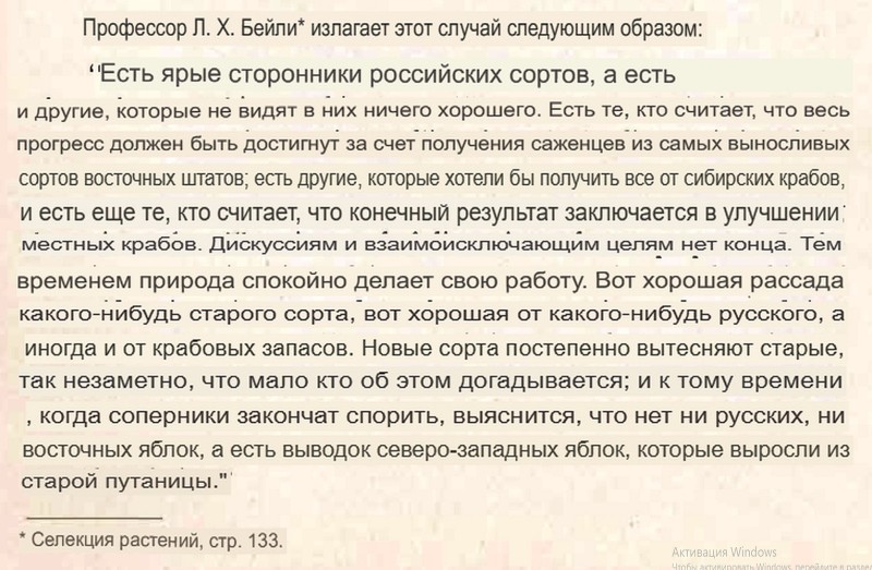 Буфер обмена04.jpg