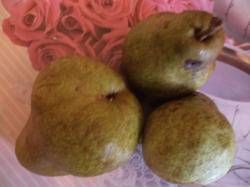 груши 002.JPG