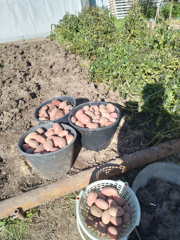 20251001_115628.jpg