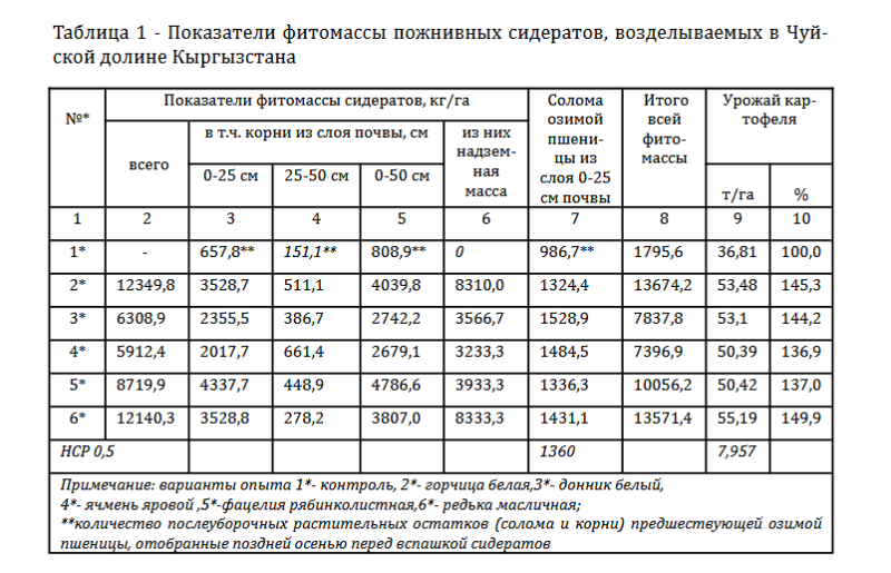 Роль сидератов в урожайности картофеля.