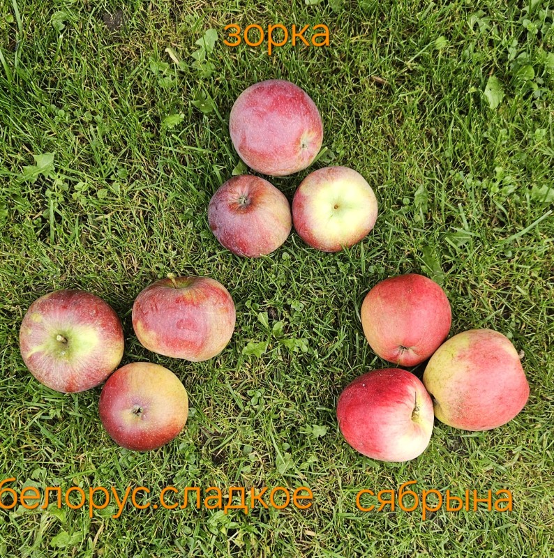 20250919_124155.jpg