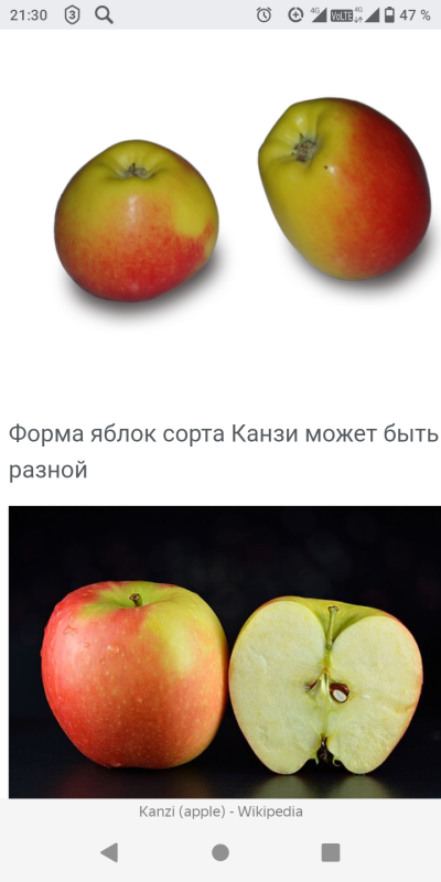 Screenshot_20251010-213057.png
