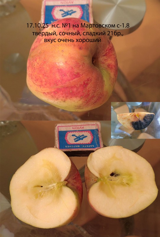 н.с. №1 на Март. с-1.8.jpg