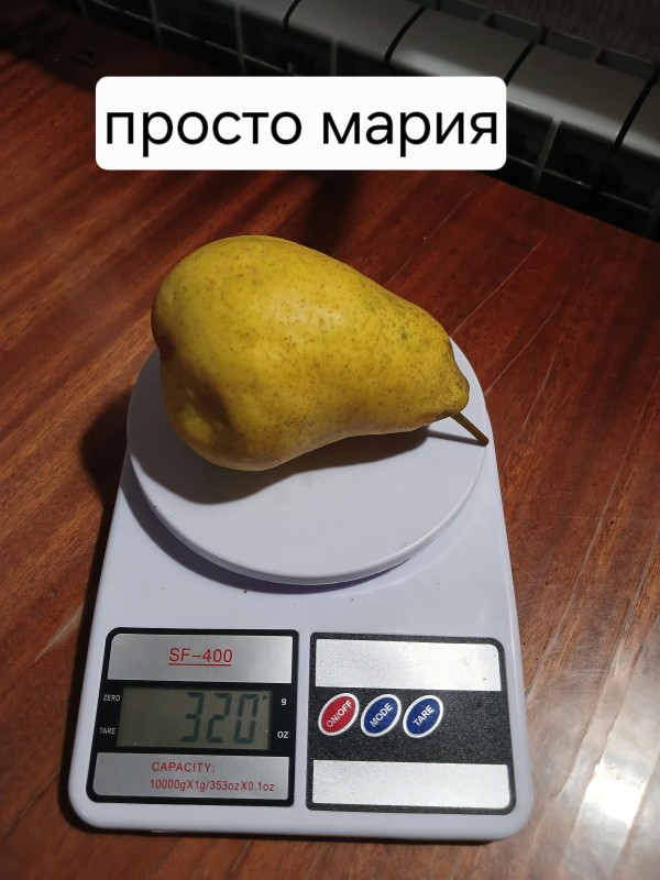 20251017_182843.jpg
