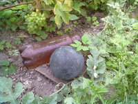 13082012144.jpg