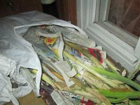Resize of IMG_0983.JPG