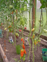 DSCN4205.JPG