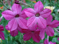 DSC01223.JPG