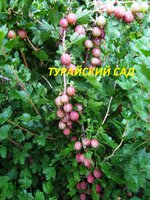 IMG_5885.JPG
