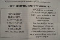 P1180206.JPG