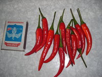DSCN7614.JPG