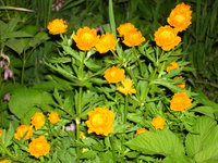 DSC06124.JPG