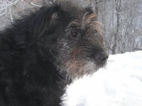 DSCN7573.JPG