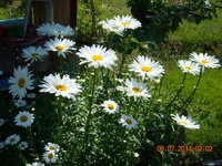 DSCN1964.JPG