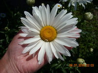 DSCN1966.JPG