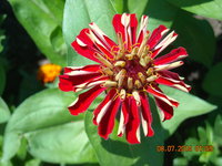DSCN1947.JPG