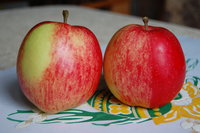 DSC_7294.JPG