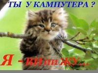КОТ.jpg