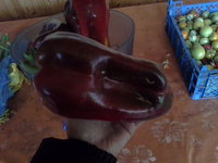 20140914_174441.jpg