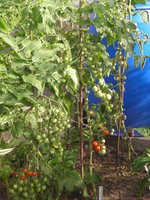 DSCN5747.JPG
