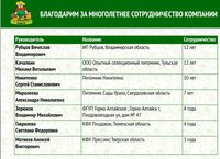 поиск.jpg