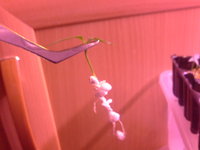 20150216_185940.jpg