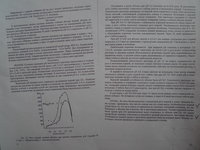 P1090029.JPG