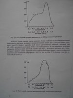 P1090021.JPG