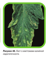 2012-05-14_085329.png
