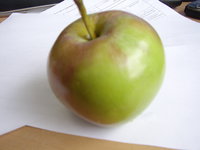 STA43376.JPG