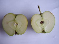 STA43377.JPG